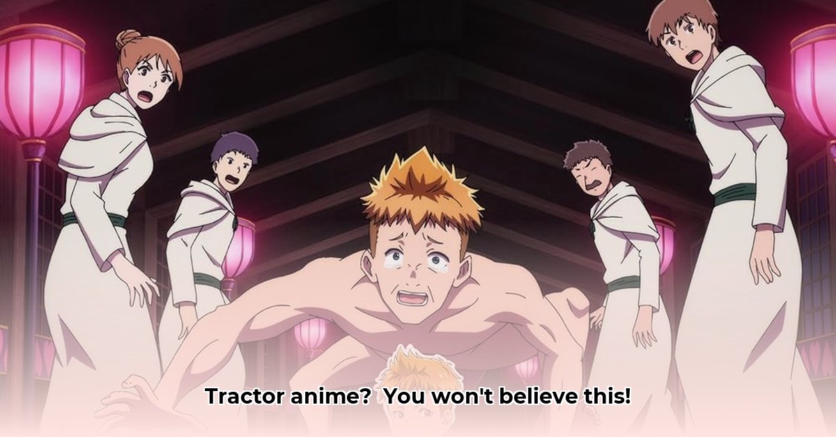 kamikatsu-tractor